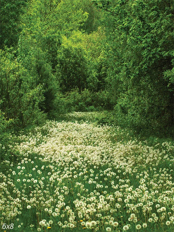 Clover Meadow Backdrop